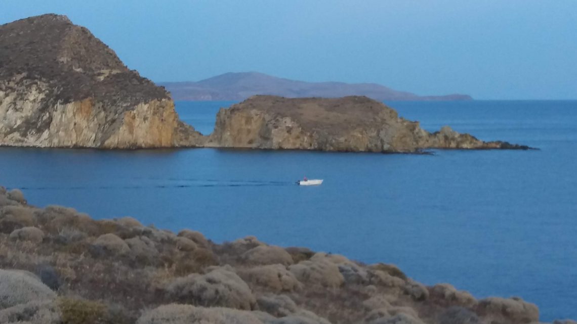 מחשיבה מערבית לחשיבה הוליסטית